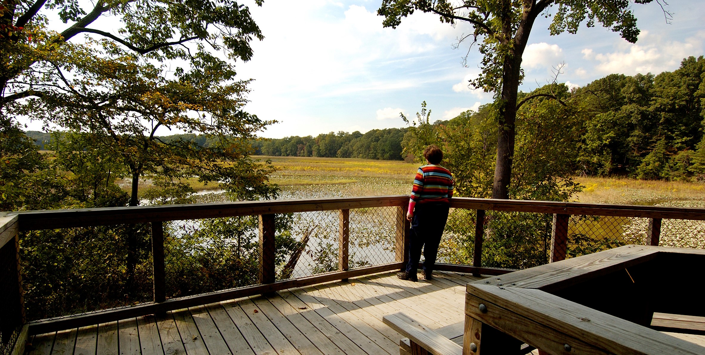 Visitor at Great Marsh on Mason Neck NWR FWS.gov